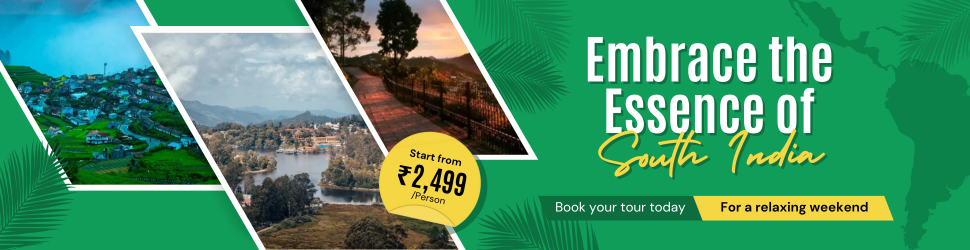 Special Weekend Offers - Limited Time Deal